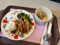 -史努比缤纷世界