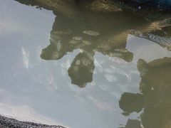 -海上驿站渔家菜馆