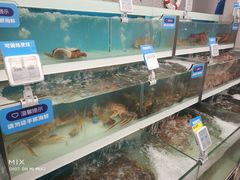 -盒马鲜生(大成店)