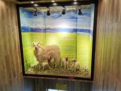 -清真·益鑫羊肉手抓馆(花园北街店)