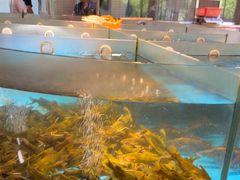 -耕渔小院·湖南鱼鲜(望城店)