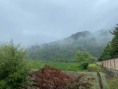 -黑河国家森林公园