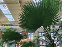 -南宫五洲植物乐园