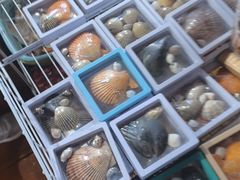 -蓝湾碧波·老字号·疍家非遗海上餐厅