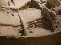 -洛阳周王城天子驾六博物馆