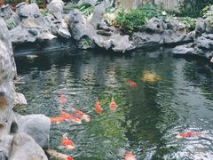 -鲤院·新中式美学·庭院餐厅(夫子庙店)