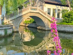 -济南大明湖景区