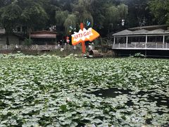 -巴山一绝烤全羊(三圣乡刘家花园店)