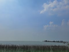 -合肥滨湖国家森林公园