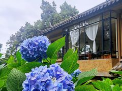 -寂照庵