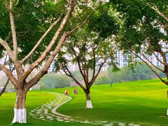 -重庆中央公园(渝北区)