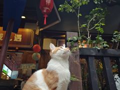 -重庆十八梯传统风貌区