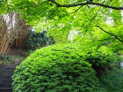 -南山植物园