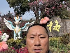 -无锡梅园公园