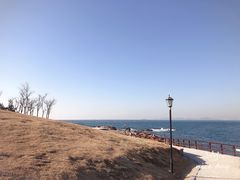 -小麦岛公园
