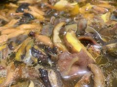 -爱膳菌锅锅(阳南店)