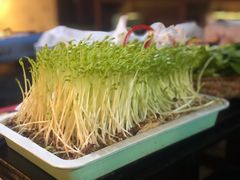 鲜活豌豆苗-老表记广西宵夜螺蛳鸭脚煲(西大店)