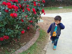 -人民公园(罗湖区)