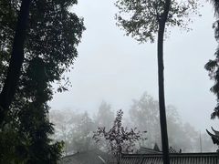 -青城山