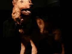 -上海公安博物馆