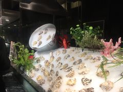 -芭菲盛宴·环球美食(北城国际店)