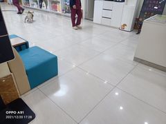 -美联众合动物医院·24h京西诊疗中心