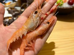 -贵木日本料理·铁板烧(新地假日广场店)