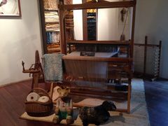 iphone_upload_pic-济州岛泰迪熊博物馆