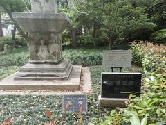 -汇龙潭