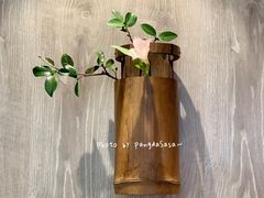 -茶是一枝花泡茶店