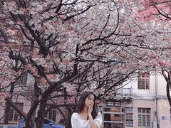 -贵州师范大学(宝山北路校区)