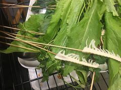 -川成串·自助串串香火锅(朝阳店)