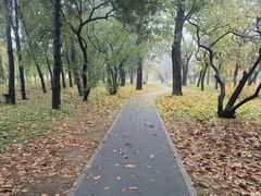 -国家植物园南园