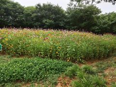 -盘龙城遗址博物院