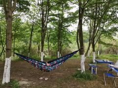 -桤木河湿地公园