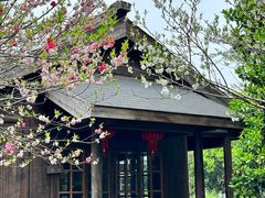 -桃花岛景观公园