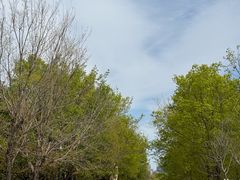 -长春世界雕塑园冰雪艺术天地