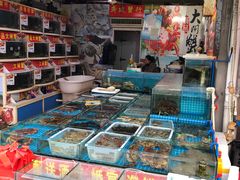 水产区-江杨农产品批发市场