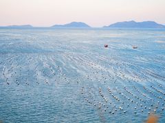 -枸杞岛