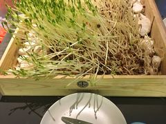 -夫妻肺片·中华老字号·正宗川菜(春熙路店)