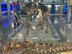 -国家自然博物馆