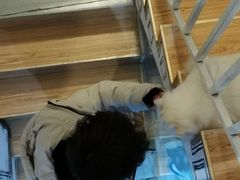 -松果猫咖(桐乡吾悦金街店)