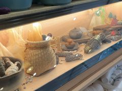 -喜上喜鸡煲翅(吉大店)