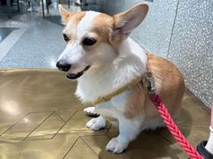 -sugarman espresso素饮糖人高新咖啡工厂