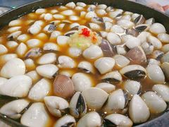 -顺德哥卜卜贝(旗舰店)