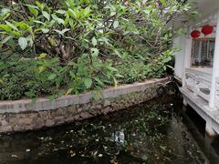 -荔湾湖公园