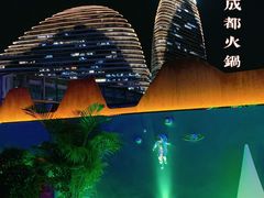 -大隐·成都火锅Bistro(合生麒麟新天地店)