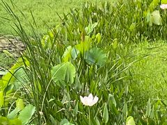 -长广溪湿地公园