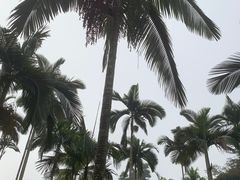-中国科学院西双版纳热带植物园