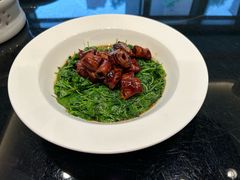 -新南华大酒店(广中店)